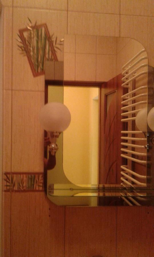U Zubrytskyh Hotel Трускавец Екстериор снимка